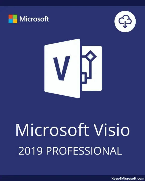 Visio 2019 Professional Key For 1 PC [ Online activation ]