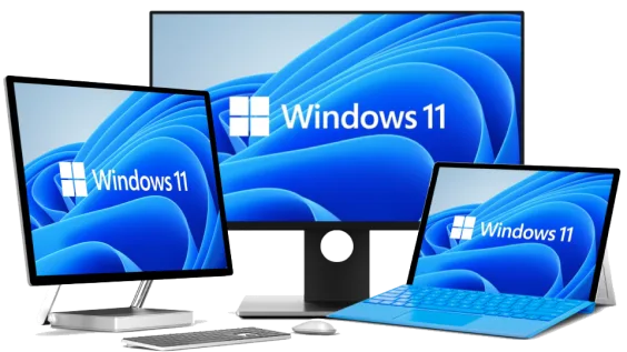 Windows 11 Pro Workstation 1PC Phone Activation desktop